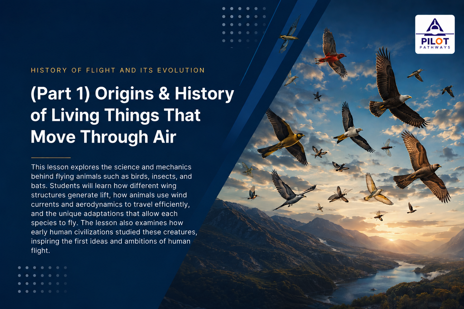 (Part 1) Origins and History of Living Things That Move Through Air